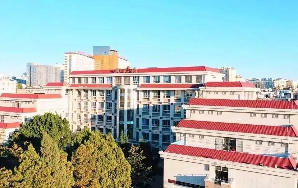 中考 | 今年第三批次取消征集,第二批次征集尤为重要,这篇内容不容错过!-第25张图片-四季读书网 中考 | 今年第三批次取消征集,第二批次征集尤为重要,这篇内容不容错过!-第25张图片-四季读书网