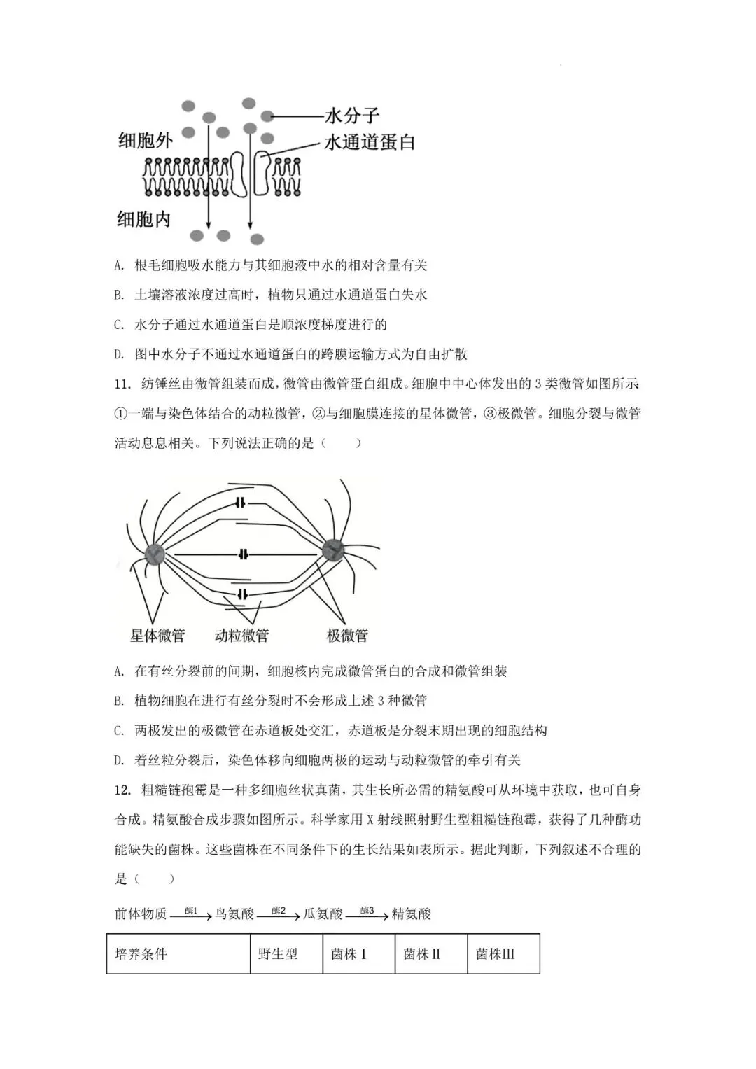 2026年辽宁高三模拟考试生物试题(二)-第4张图片-四季读书网