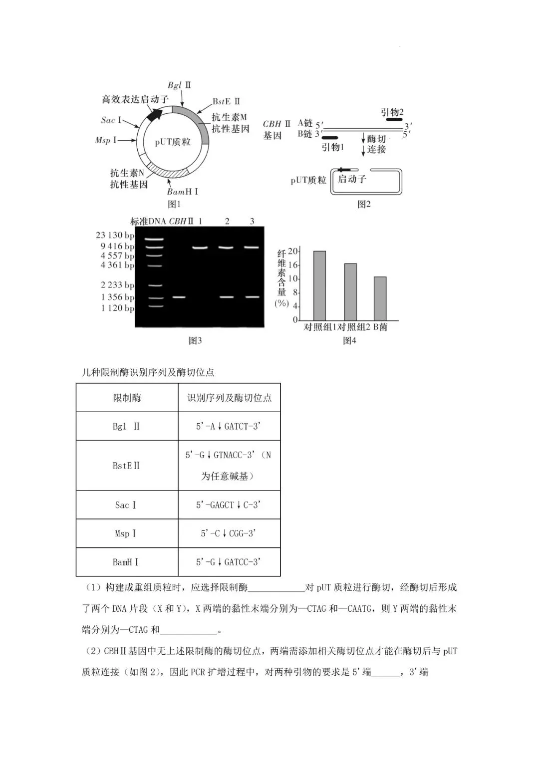 2026年辽宁高三模拟考试生物试题(二)-第11张图片-四季读书网