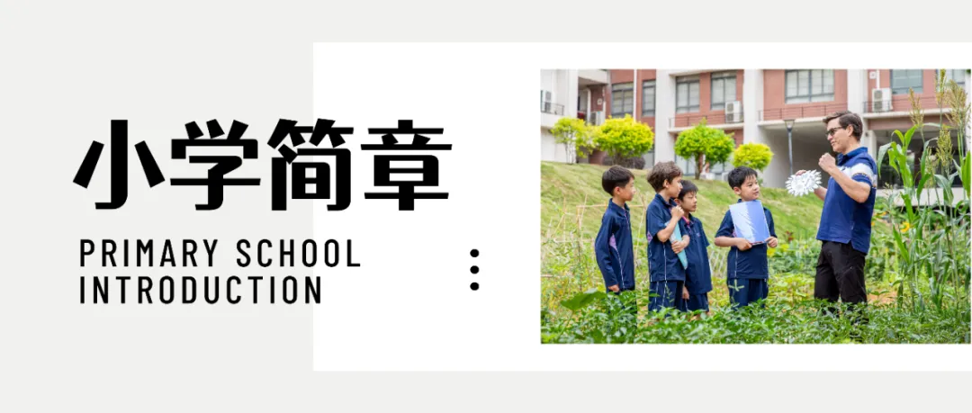 中考后选对赛道,银滩学校新生百万奖学金,等待优秀的你!-第27张图片-四季读书网 中考后选对赛道,银滩学校新生百万奖学金,等待优秀的你!-第27张图片-四季读书网