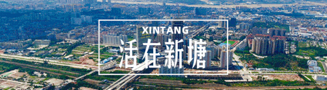 中考出分!新塘这批学生选对学校逆袭名高,成功翻盘!-第1张图片-四季读书网