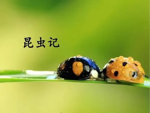 【中考语文】初中语文12部必考名著超全知识梳理,中考必看!-第7张图片-四季读书网 【中考语文】初中语文12部必考名著超全知识梳理,中考必看!-第7张图片-四季读书网