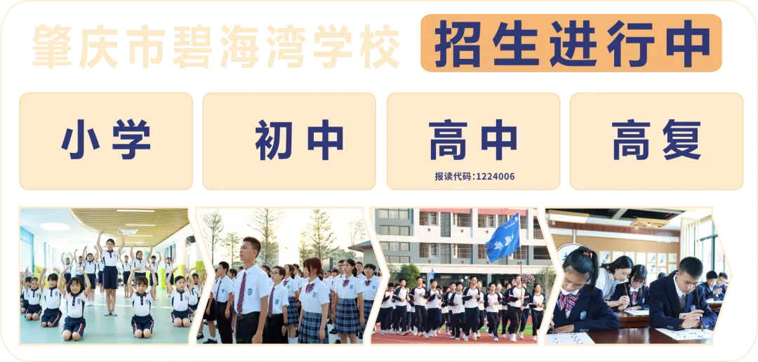 肇庆市碧海湾学校2026级高一面向东莞中考考生补录公告-第15张图片-四季读书网 肇庆市碧海湾学校2026级高一面向东莞中考考生补录公告-第15张图片-四季读书网