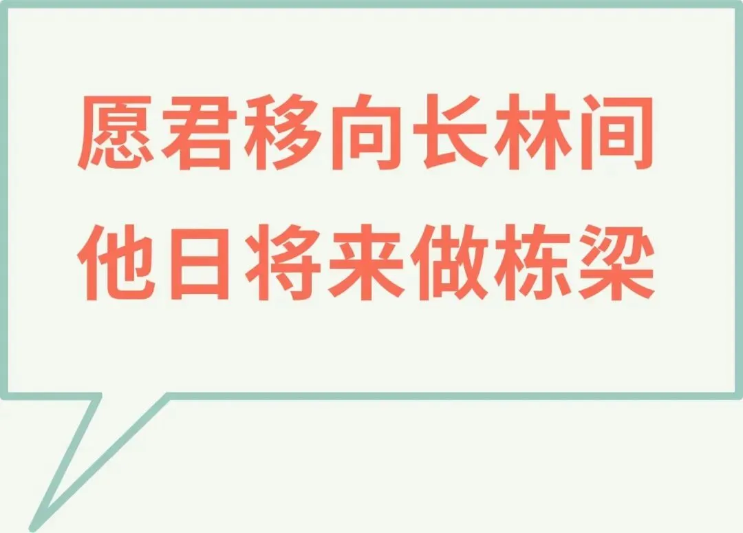 明日中考,再抢3分!大狮兄青苗学苑全体学科老师中考前最后的叮嘱和祝福!送给所有天津25届生!!-第71张图片-四季读书网