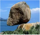 专题1 直线运动和相互作用高考真题-第45张图片-四季读书网 专题1 直线运动和相互作用高考真题-第45张图片-四季读书网