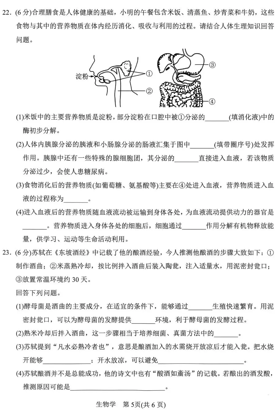 中考试卷:2026年河南省南阳市初中学业水平测试生物试卷+参考答案-第6张图片-四季读书网 中考试卷:2026年河南省南阳市初中学业水平测试生物试卷+参考答案-第6张图片-四季读书网