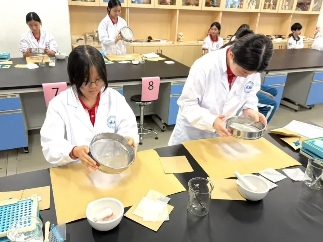 中考出分如何择校?理清孩子最优升学路径-第6张图片-四季读书网