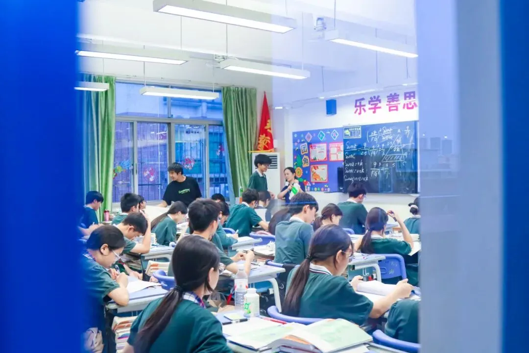 【中考专访一】重磅!明珠2026首位受访学霸,跟着她找准初中学习方向-第15张图片-四季读书网