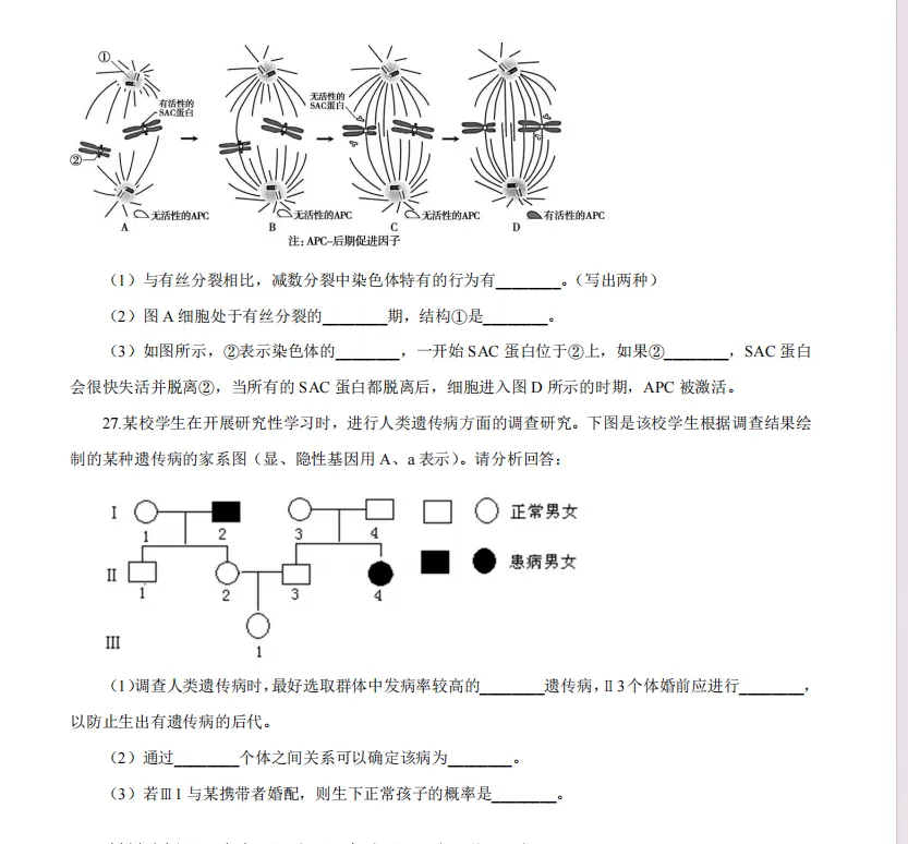 26下教资笔试高中生物科目三历年真题汇总含答案解析可打印-第6张图片-四季读书网 26下教资笔试高中生物科目三历年真题汇总含答案解析可打印-第6张图片-四季读书网