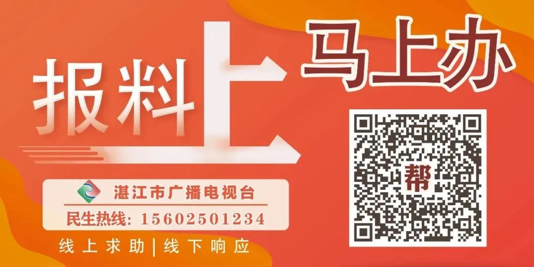 2026年湛江中考录取控制分数线公布-第3张图片-四季读书网 2026年湛江中考录取控制分数线公布-第3张图片-四季读书网