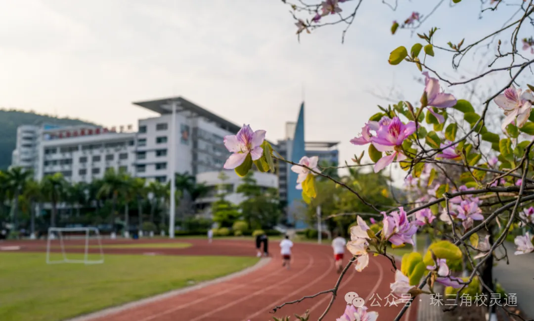 2026 广州中考放榜,本地中职低分招生通道开放|广东省城市技师学院-第31张图片-四季读书网