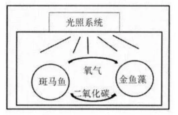 广东省深圳市2026年中考语文试题及参考答案-第1张图片-四季读书网