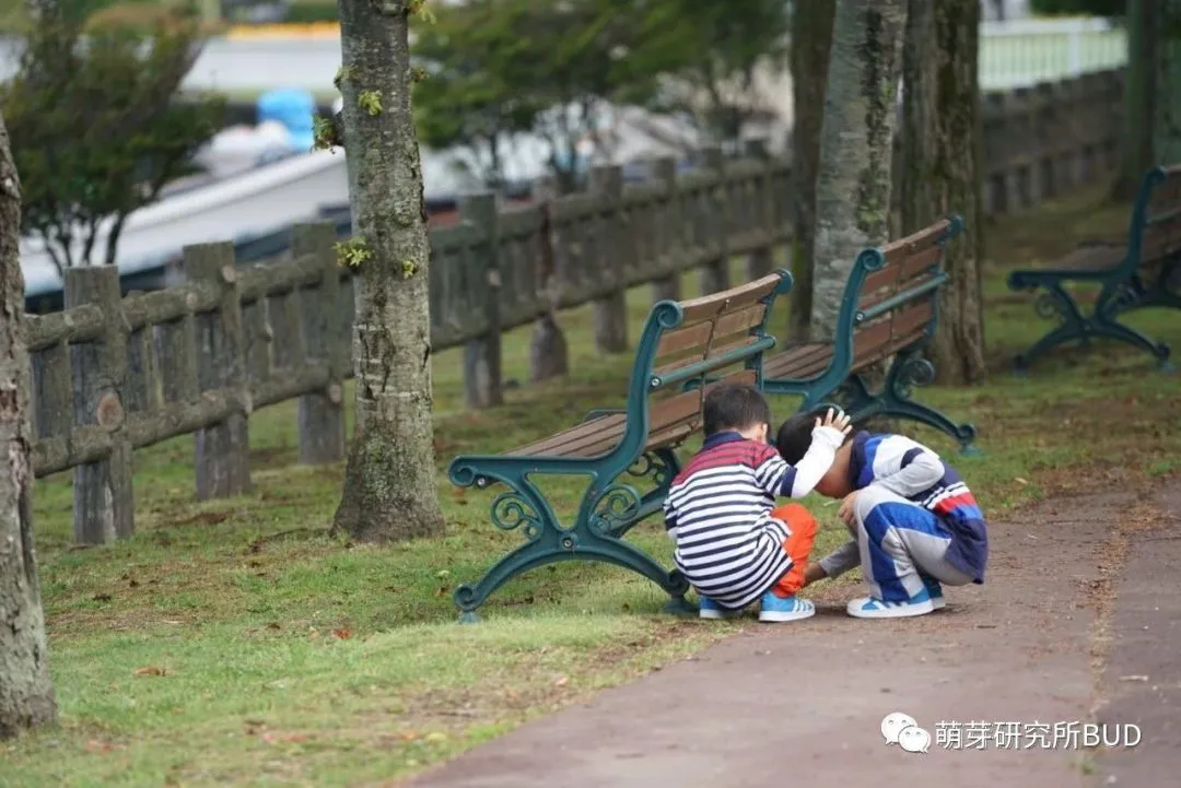 广州中考一分一操场?我捋完三条升学路,心里反而稳了-第21张图片-四季读书网 广州中考一分一操场?我捋完三条升学路,心里反而稳了-第21张图片-四季读书网
