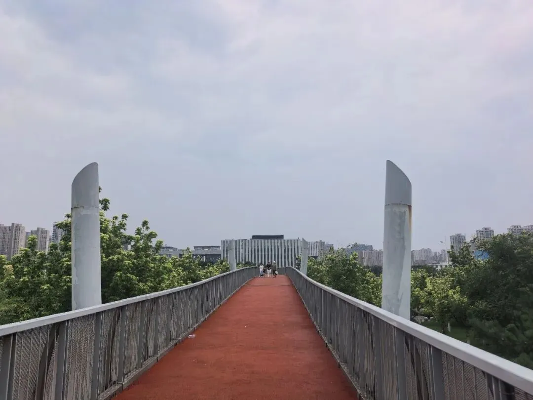 中考满分作文惊艳开头-第1张图片-四季读书网