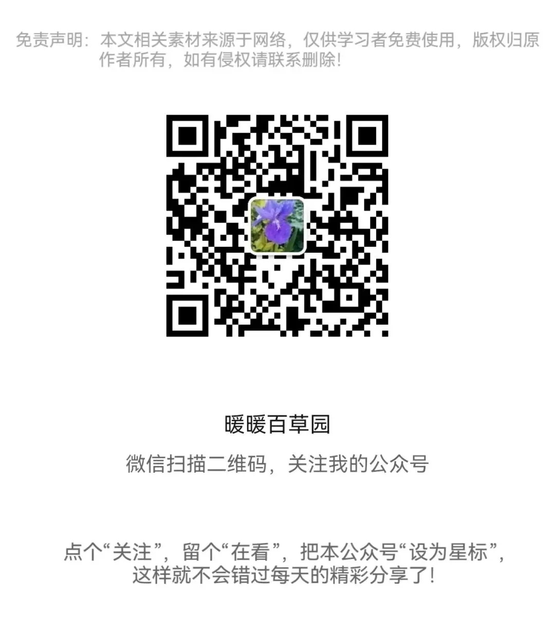26新数学苏教版一年级上册1-2单元试卷,附答案电子版可打印-第7张图片-四季读书网