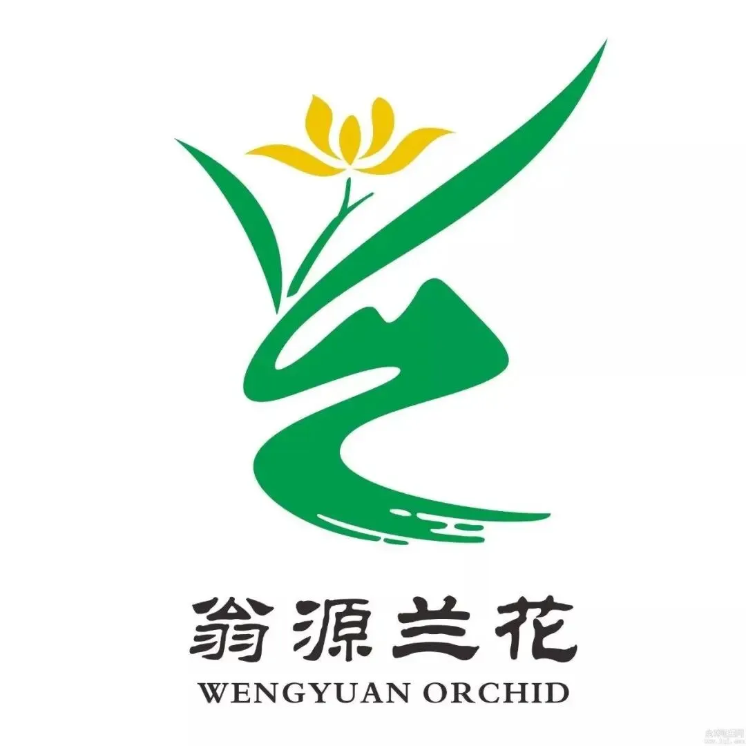 中考成绩今日公布!怎么查询看过来→-第5张图片-四季读书网