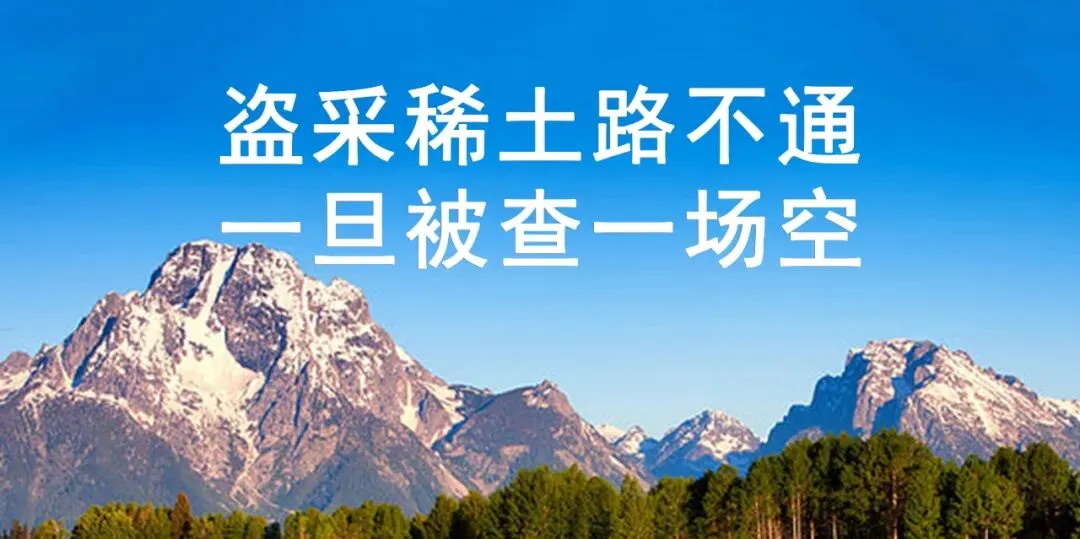 中考成绩今日公布!怎么查询看过来→-第7张图片-四季读书网