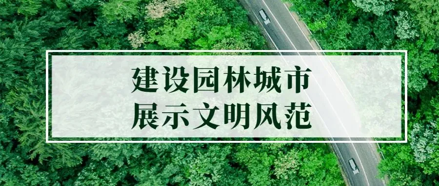中考成绩今日公布!怎么查询看过来→-第8张图片-四季读书网