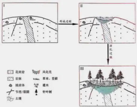 【真题速递】2026年全国高考地理真题陕晋青宁卷-第7张图片-四季读书网