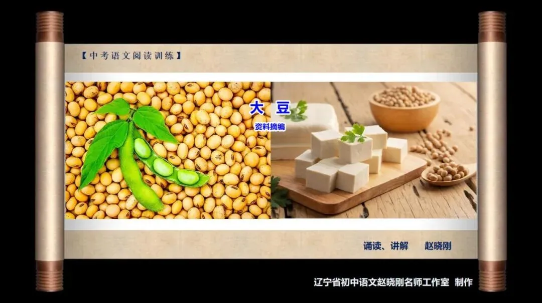 【中考阅读指导】大豆(资料摘编)河北2026-第2张图片-四季读书网