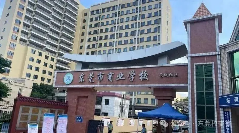 2026年东莞中考新出路:3 + 证书升学班,低分学子圆梦大学|东莞市商业学校(附录取分数线)-第8张图片-四季读书网 2026年东莞中考新出路:3 + 证书升学班,低分学子圆梦大学|东莞市商业学校(附录取分数线)-第8张图片-四季读书网