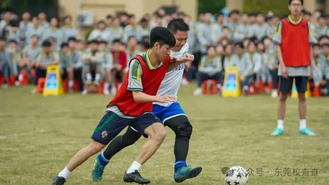2026年东莞中考新出路:3 + 证书升学班,低分学子圆梦大学|东莞市商业学校(附录取分数线)-第13张图片-四季读书网 2026年东莞中考新出路:3 + 证书升学班,低分学子圆梦大学|东莞市商业学校(附录取分数线)-第13张图片-四季读书网