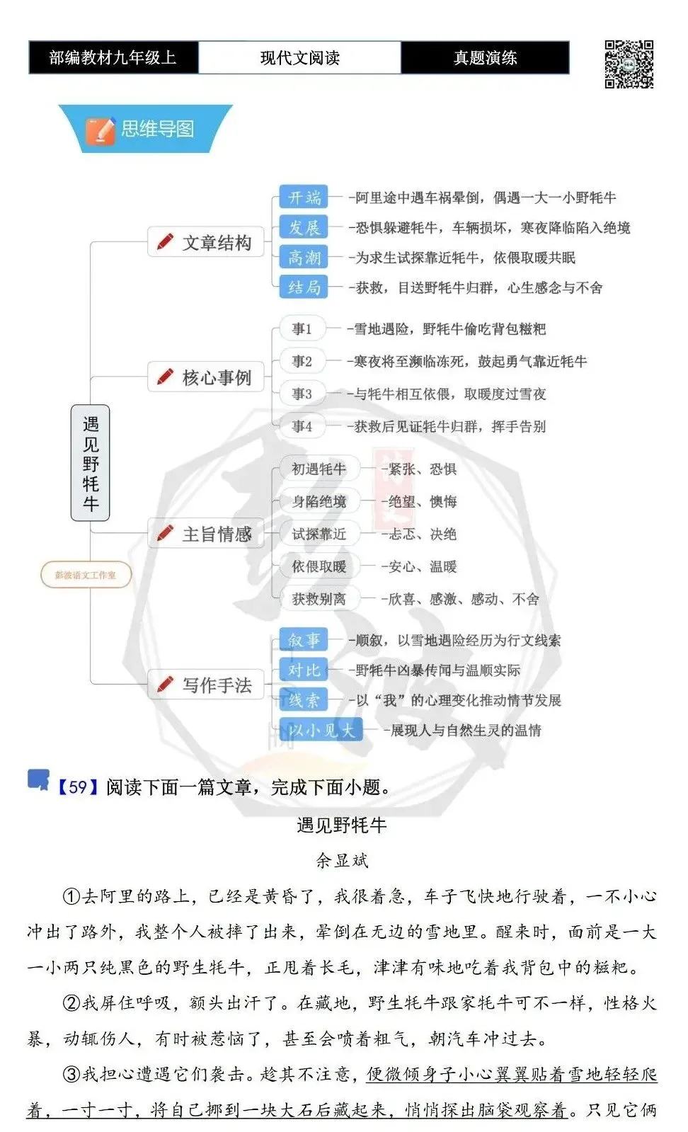 【现代文阅读-真题演练】九年级上-59-遇见野牦牛-思维导图+试题精析-第5张图片-四季读书网