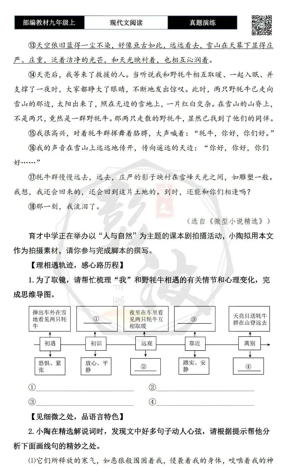 【现代文阅读-真题演练】九年级上-59-遇见野牦牛-思维导图+试题精析-第7张图片-四季读书网