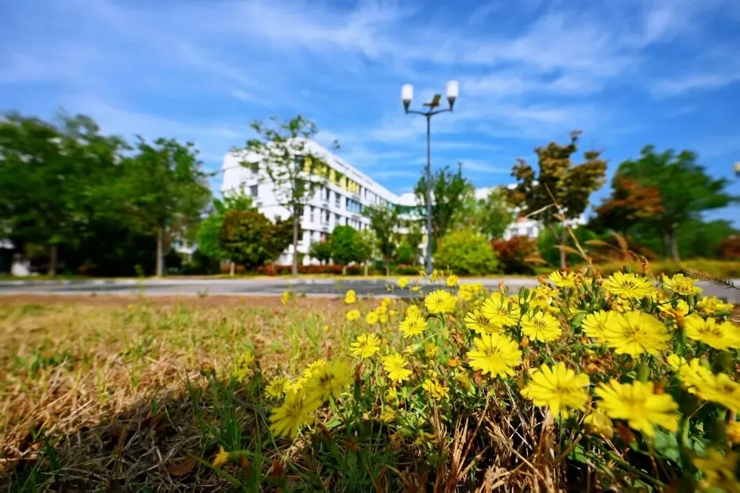 中考300分左右也能上大学?!这所公办学校正在报名!-第11张图片-四季读书网 中考300分左右也能上大学?!这所公办学校正在报名!-第11张图片-四季读书网
