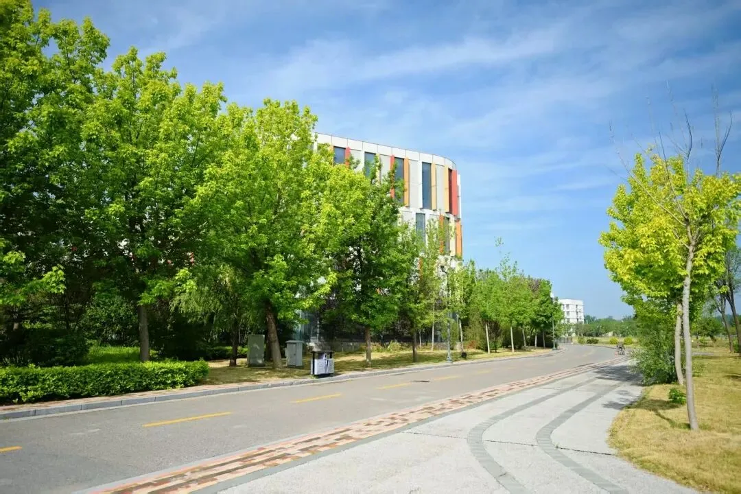 中考300分左右也能上大学?!这所公办学校正在报名!-第13张图片-四季读书网 中考300分左右也能上大学?!这所公办学校正在报名!-第13张图片-四季读书网