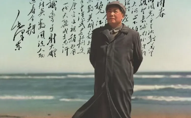 手机新的屏保