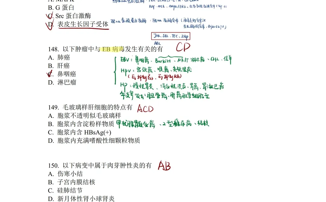 我再说一遍：十年真题以后有狂背㊙️