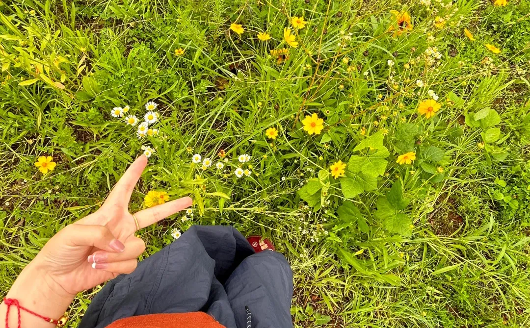 好喜欢复盘得满满当当的阅读真题