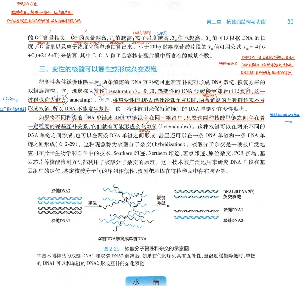 25考研西综真题笔记，我的宝子不准没有！