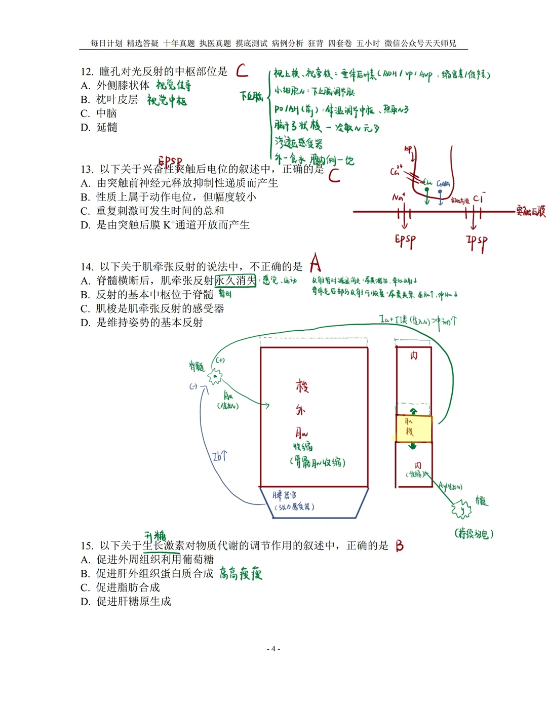 我再说一遍：十年真题以后有狂背㊙️