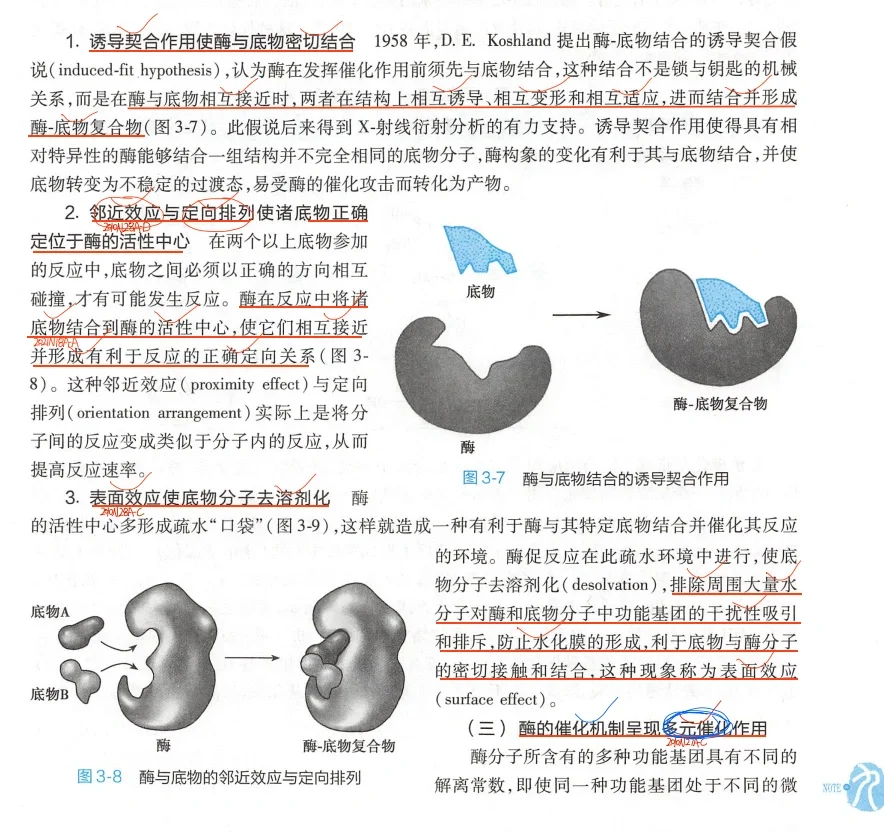 25考研西综真题笔记，我的宝子不准没有！
