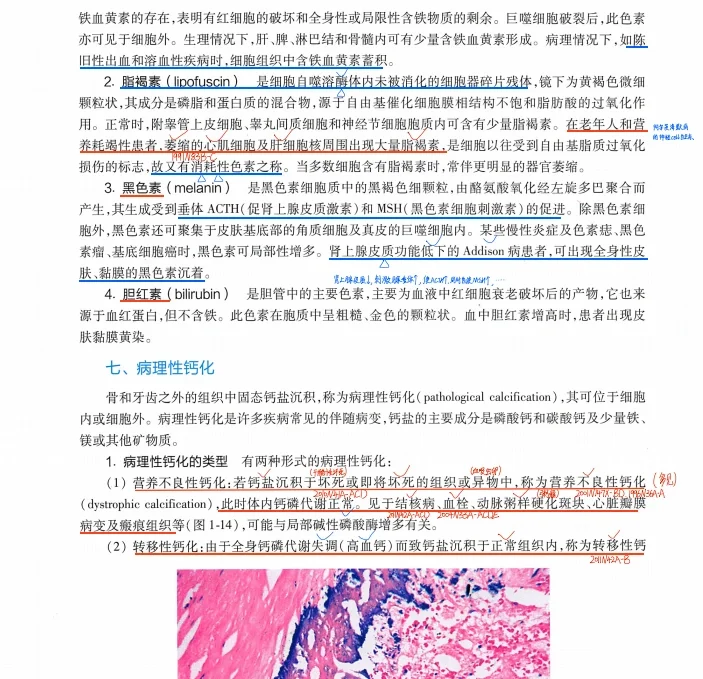 25考研西综真题笔记，我的宝子不准没有！