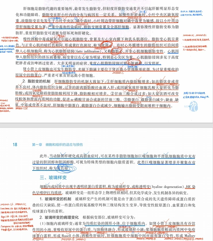 25考研西综真题笔记，我的宝子不准没有！