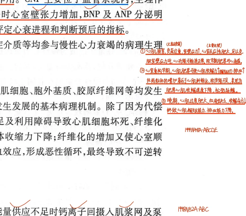 25考研西综真题笔记，我的宝子不准没有！