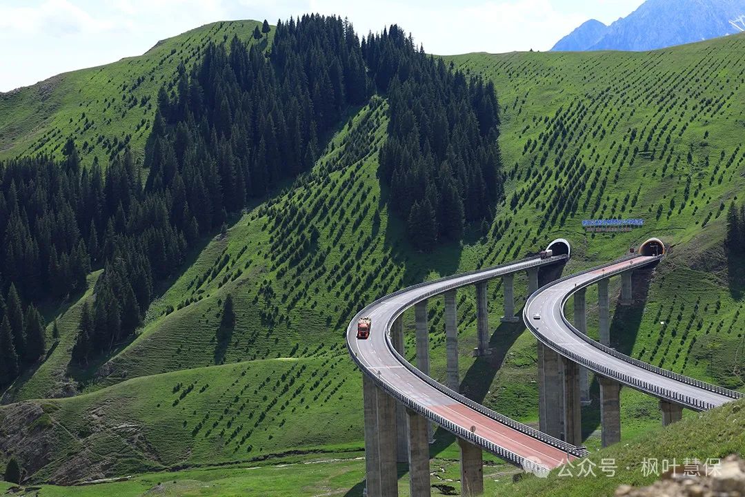 买了旅游保险却得提前回国,剩下的保费能退吗?