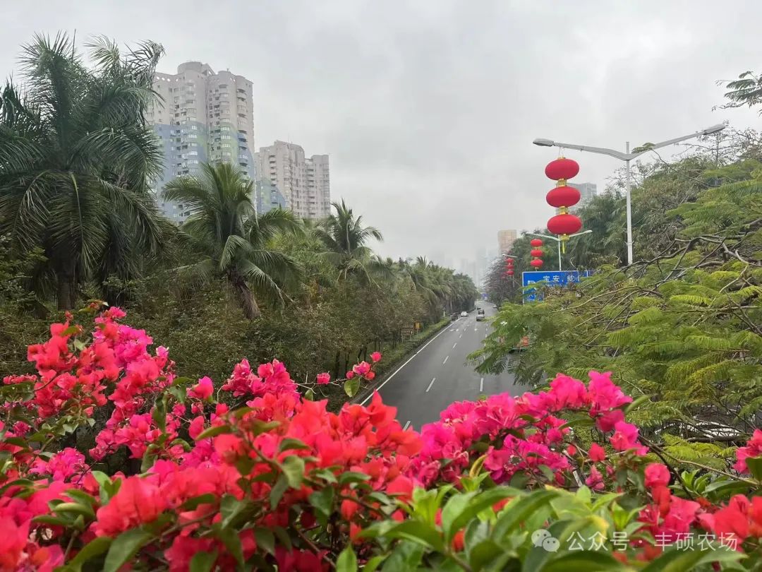 深圳深度游记