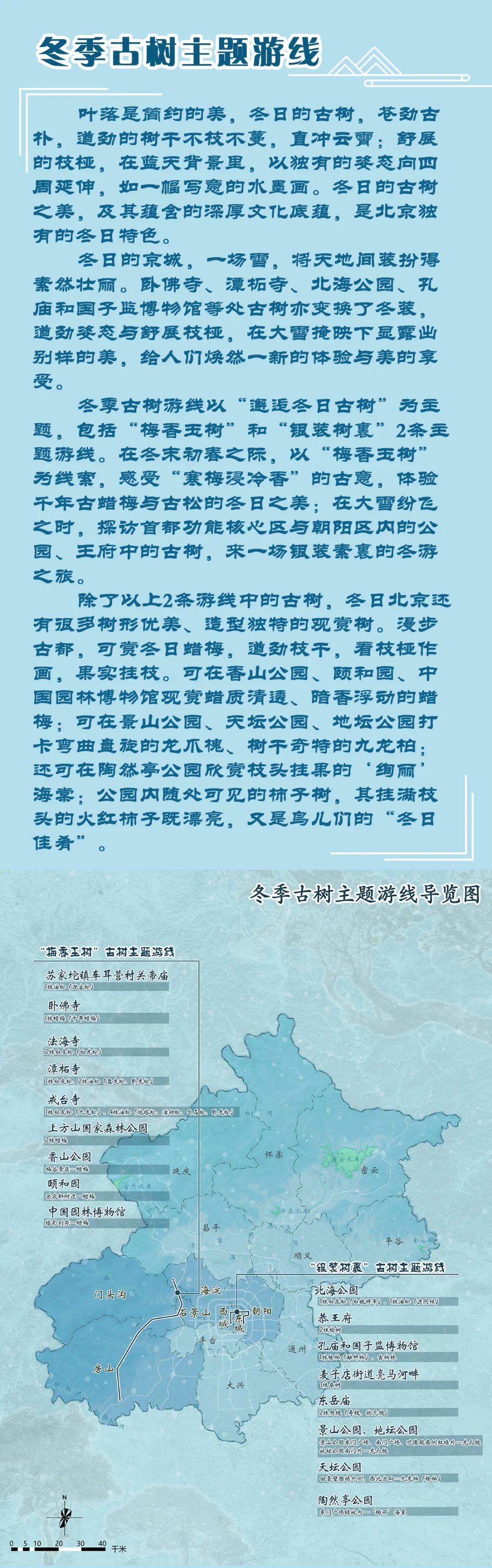 漫步古都邂逅冬日古树之美丨2条冬季古树主题游线陪您过大年