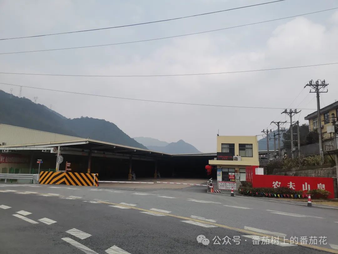 杭州行之新安江半日游