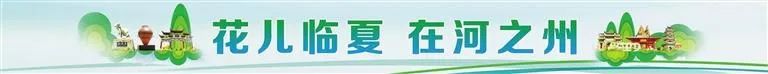 临夏州一民宿入选全省国家丙级旅游民宿