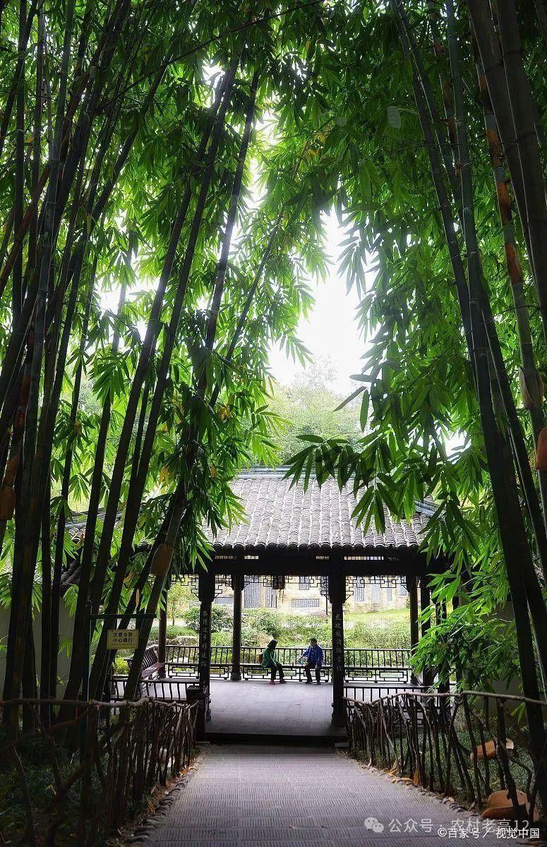 王府竹海风景区在哪里?王府竹海风景区位于河南省洛阳市栾川县城西北约30公里的狮子庙镇境内