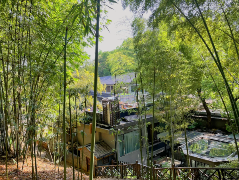舍不得分享的森林民宿住在山上的日子