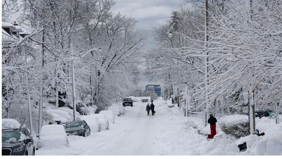 大多伦多大雪来袭!环境部发旅行警告