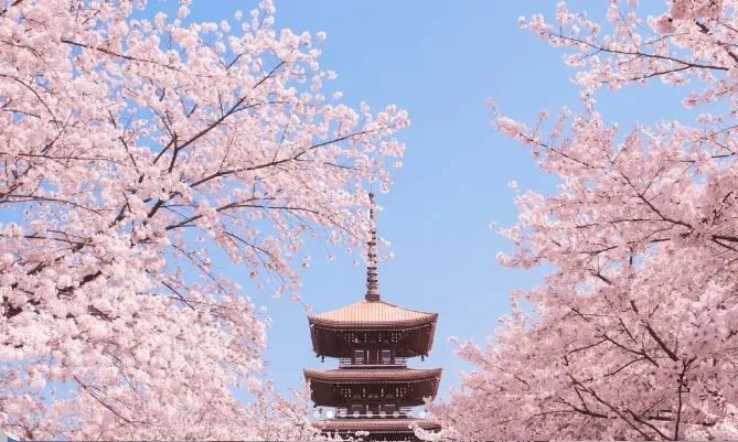 【湖北全景大环游】高铁纯玩八天