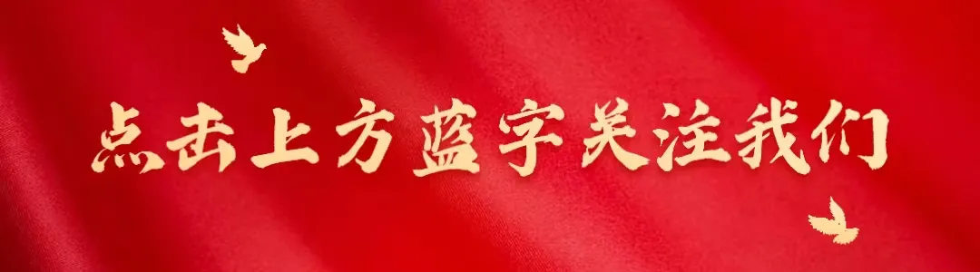 人大代表孔令智春节期间深入意大利风景区开展志愿服务活动