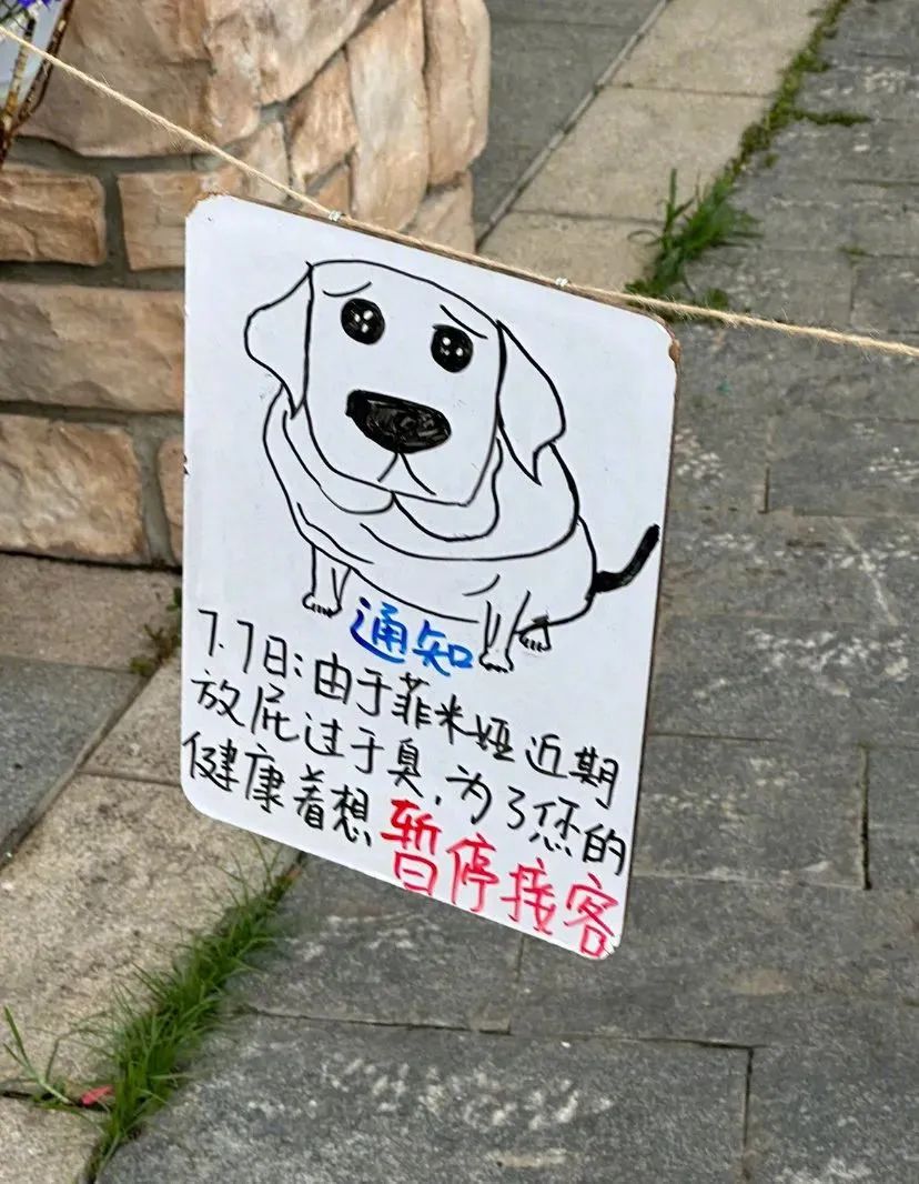 这家民宿老板为了不让别人喂自己家的肥狗狗真的用尽了全力